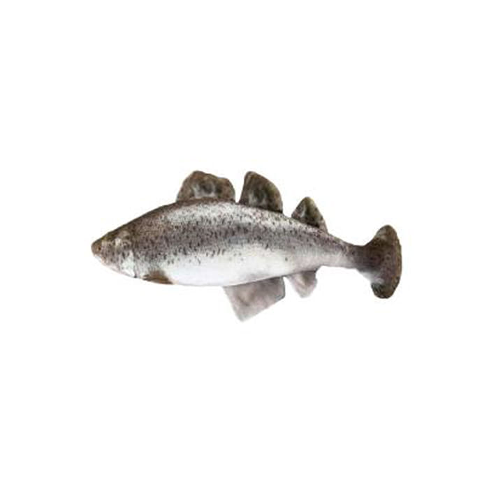 아미캐롤 캣닢 물고기인형 시리즈 / 연어 (AT2653)