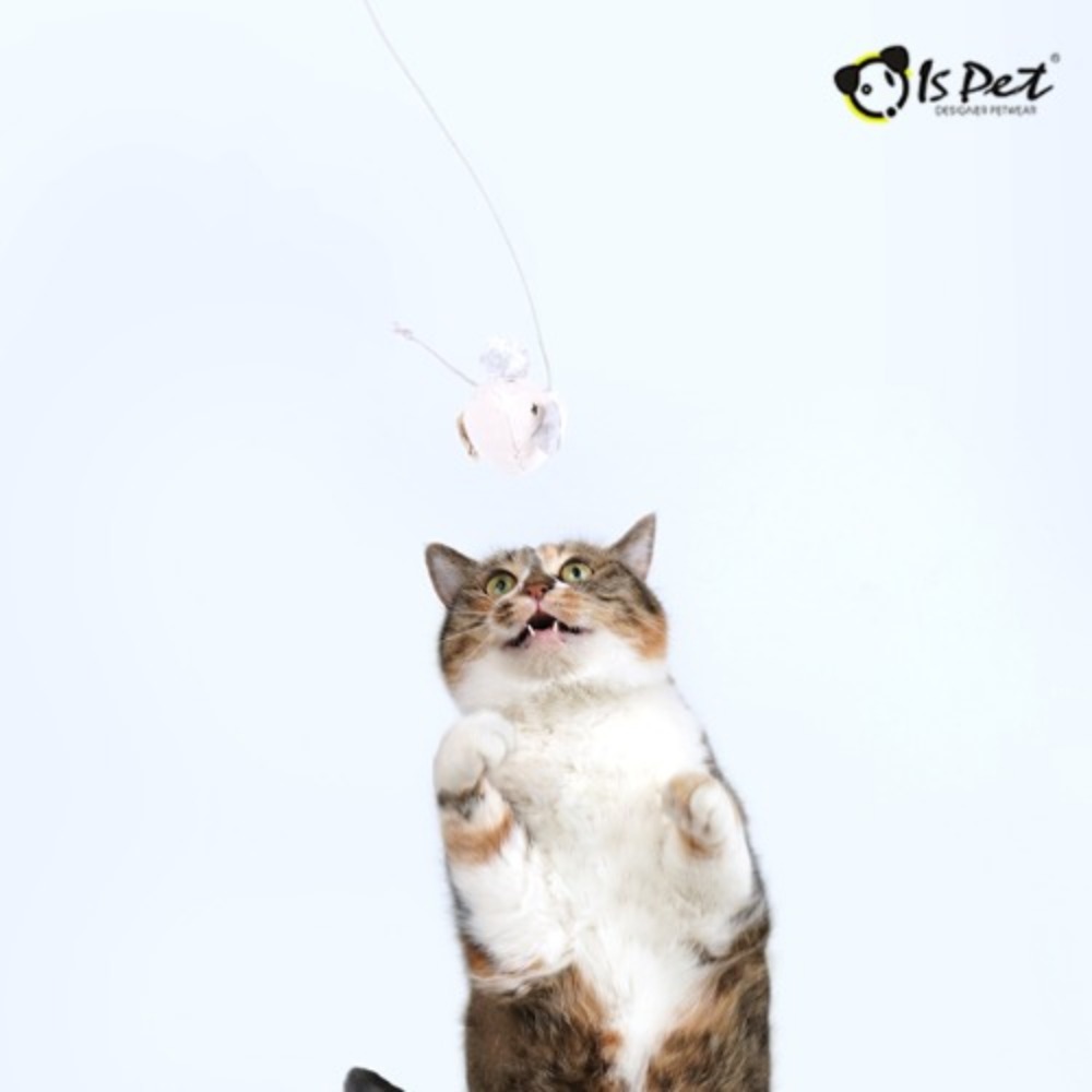 【ISPET】CAT TEASER (랜덤발송)