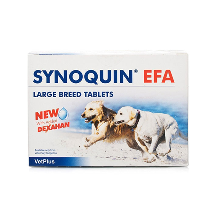 사이노퀸 EFA (25kg이상 대형견 30타블렛) SYNOQUIN EFA