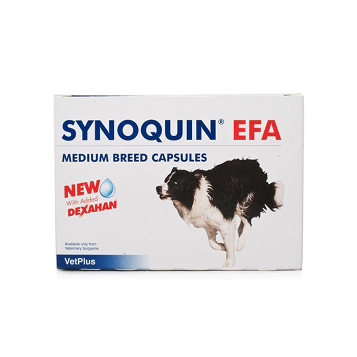 사이노퀸 EFA (10kg~25kg 중형견 30타블렛 알약) SYNOQUIN EFA