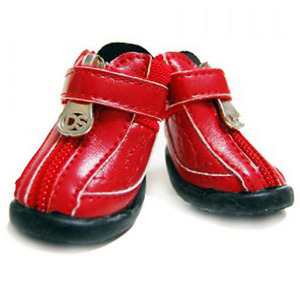 도기스쿨 파스텔 하운드 신발(빨강)